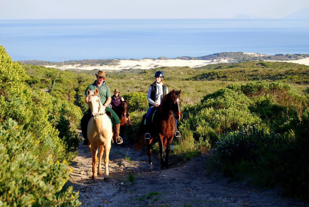 Grootbos Private Nature Reserve Hotell Gansbaai Exteriör bild