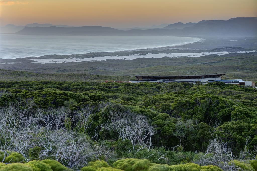 Grootbos Private Nature Reserve Hotell Gansbaai Exteriör bild