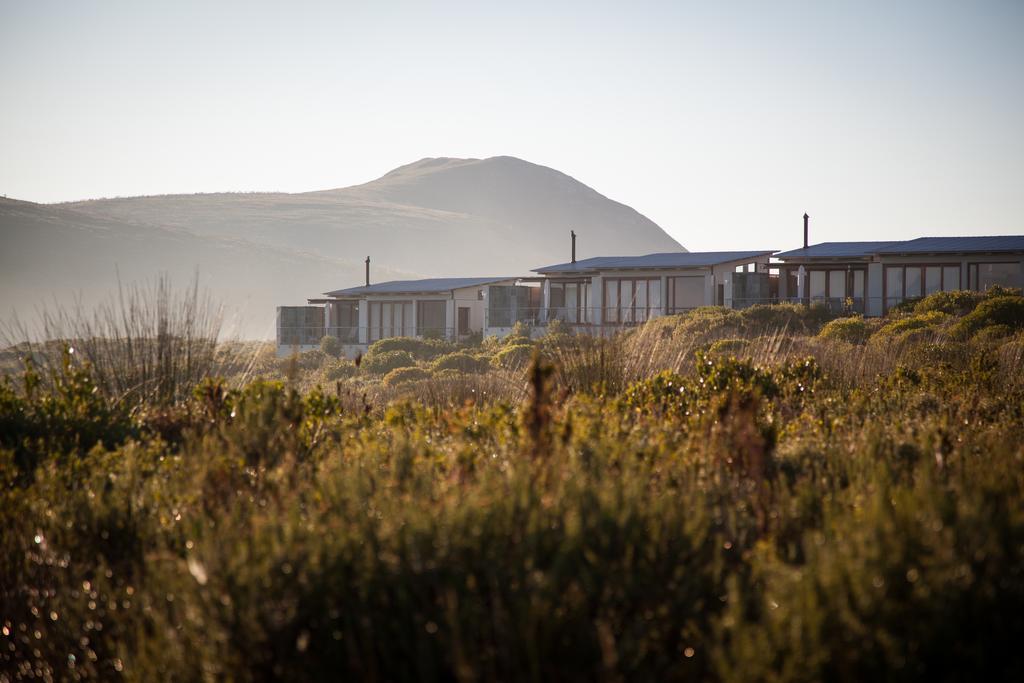 Grootbos Private Nature Reserve Hotell Gansbaai Exteriör bild