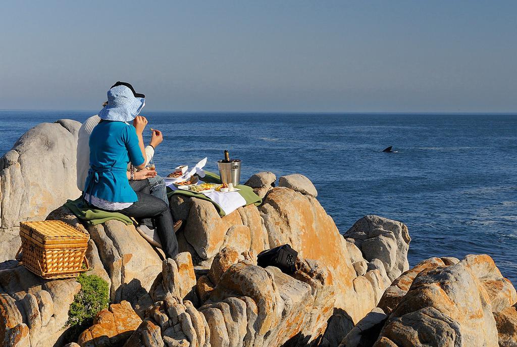 Grootbos Private Nature Reserve Hotell Gansbaai Exteriör bild