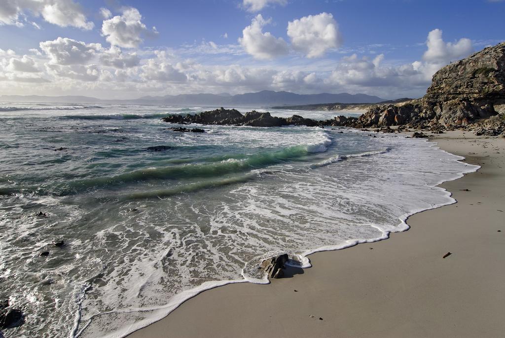 Grootbos Private Nature Reserve Hotell Gansbaai Exteriör bild