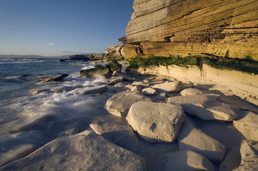 Grootbos Private Nature Reserve Hotell Gansbaai Exteriör bild