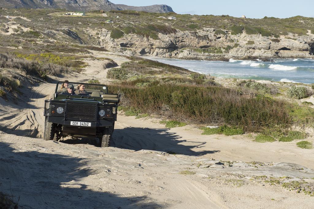 Grootbos Private Nature Reserve Hotell Gansbaai Exteriör bild