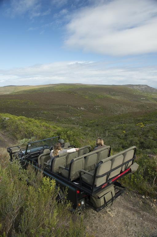 Grootbos Private Nature Reserve Hotell Gansbaai Exteriör bild